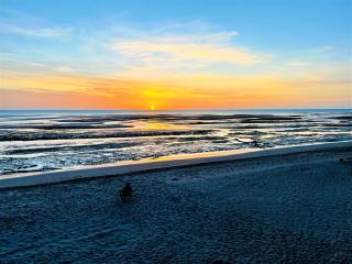 Rocky Point - Ocean Front - King - Suites - Sleeps12 - Gated - POOLS WI-FI - 3