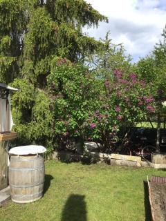 Privatzimmer - Buckenhof - 9