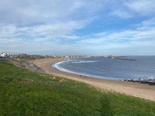 Sandy bay mariners rise - North Seaton - 9