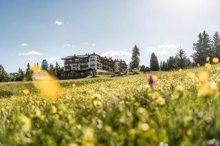 Hotel Steger-Dellai - Alpe di Siusi - 9