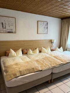 Altes Gasthaus Leuna Pension - Leuna - 1