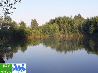 Słoneczny domek ze stawem i wędkowaniem - Żdżary - 1