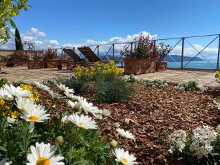 Miramare Apartments&Suites - La Spezia - 6