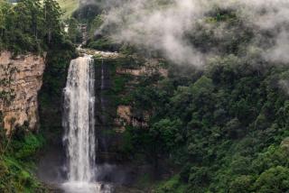 Belvidere Country Estate - Karkloof Nature Reserve - 2