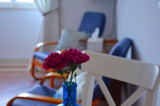 VILLA BIRIMIŠA LOPUD ISLAND - Lopud - 5