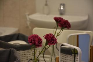 VILLA BIRIMIŠA LOPUD ISLAND - 1