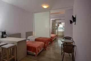 Stochos studios next to the sea! - Agia Galini - 6