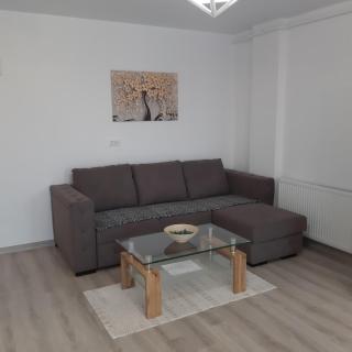 NEW Aparthotel Floresti - Floreşti - 5