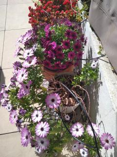 Baie des anges appartement Bis - Villeneuve-Loubet - 3