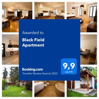 Black Field Apartment - Brno - 0