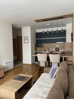 Family Apartment Zlatibor - Zlatibor - 4