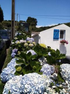Ribeira da Praia House - Vila Franca do Campo - 8
