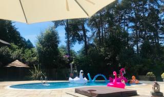 Chadham Pines Lodge & Cottage - Pool, Hot Tub & Sauna - Parkstone - 1
