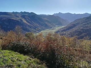 Le Lauriolle - Bilhères en Ossau - 2