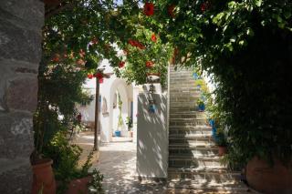 Patmos Maria Studios - 5