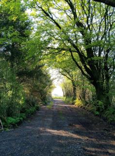 Embrace the Space - Cwm-Morgan - 1