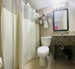 Budget Inn - St. Petersburg - St Petersburg - 3