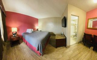 Budget Inn - St. Petersburg - St Petersburg - 8