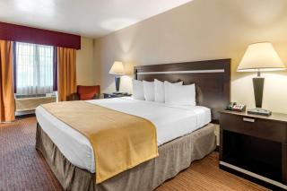Best Western Luxury Inn - Tracy - 6