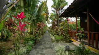 Hotel Rancho Cerro Azul - Fortuna - 2