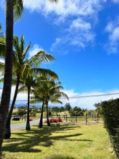 God's Peace of Maui - Makawao - 9