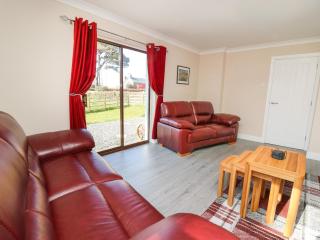 Glyn Cottage - Llanon - 6