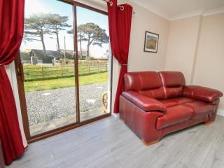Glyn Cottage - Llanon - 3