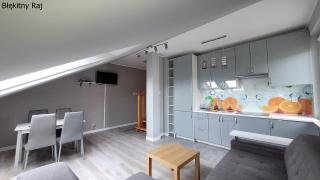 Apartament Błękitny Raj - Krynica Morska - 3