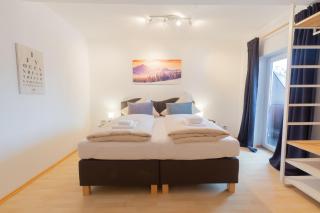 The Steinbock Lodge with garden and bbq - Zell am See - 3