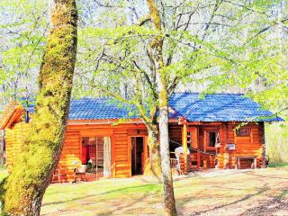 Magnifique chalets en rondins avec ou sans spa et Tipis en plaine Nature Environnement ressourçant au calme vue imprenable Lascaux SPA non disponible juillet et aout - Les Farges - 9