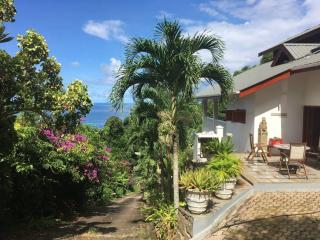 Hilltop South - Villa Bougainville - Takamaka - 9