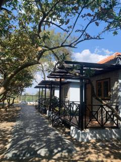 Raghunandan Resort - 9