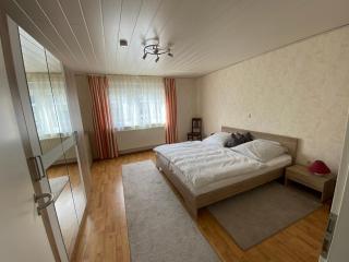 Ferienwohnung-Gasthaus zum Ross - Erlenbach am Main - 2