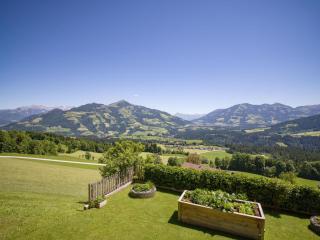 Bauernhof Hackl - Hopfgarten im Brixental - 9