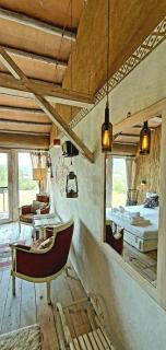 Cob Camp-Adults Only - 9