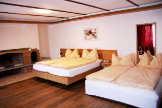 Hotel Eigerblick - Grindelwald - 5