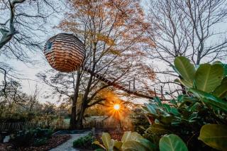 Cabane suspendue - 2