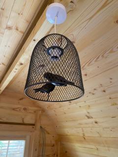 Pinkys Pod at Rock Lodge - Alnwick - 1