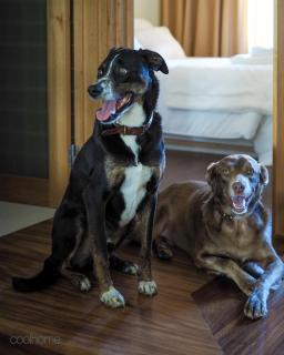 14 Calçada de Santiago - 7