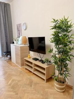 Modern Apartment Krakovska - Praga - 9