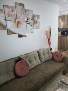 Apartman Banija - Banja Koviljača - 7