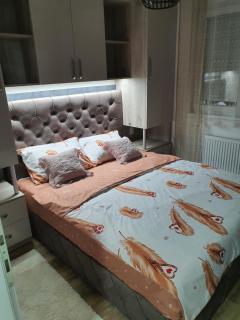 Apartman Banija - Banja Koviljača - 5