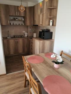 Apartman Banija - Banja Koviljača - 2