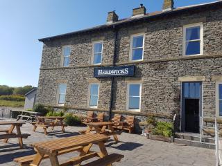 Herdwicks - Millom - 4