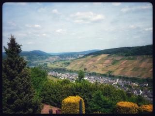 Gemütliches Apartment mit Moselblick - Reil - 2