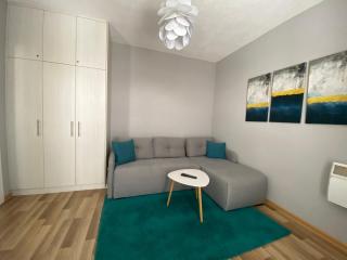 Apartment 13 - Vrnjačka Banja - 9