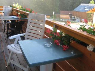 2 Sterne Gasthof Pension Kienklause kein Wifi Wlan keinen Handyempfang - Steinbach am Attersee - 9