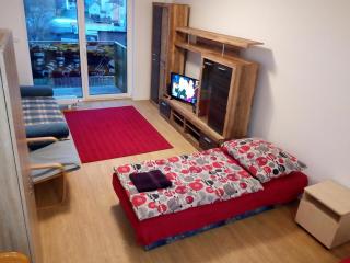 Apartmán U řeky - Otrokovice - 6