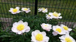 Gartenblick Trebbin - Trebbin - 9