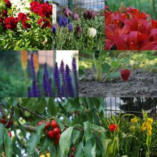Gartenblick Trebbin - Trebbin - 8